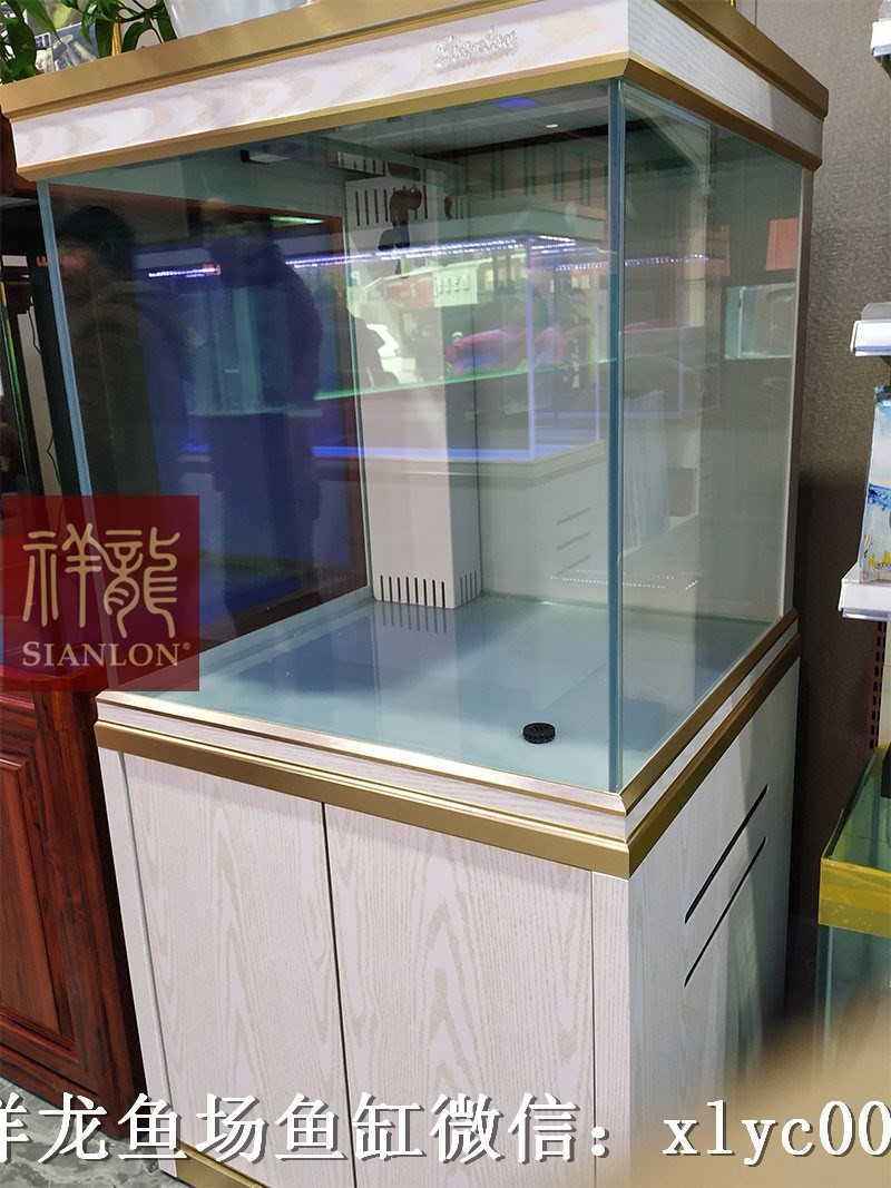 Nis Xianglong aquarium customization