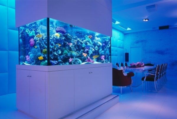 Nis Acrylic aquarium customized