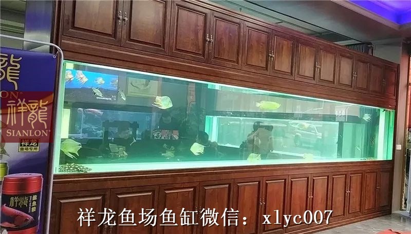 Nis Large aquarium customized 6M